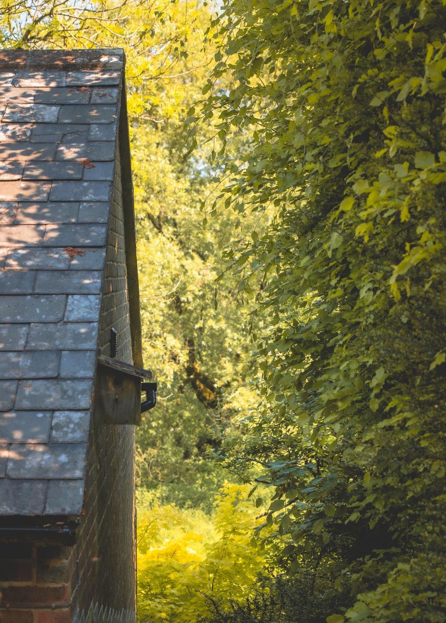 Waterfield House B&B Dorchester Dış mekan fotoğraf